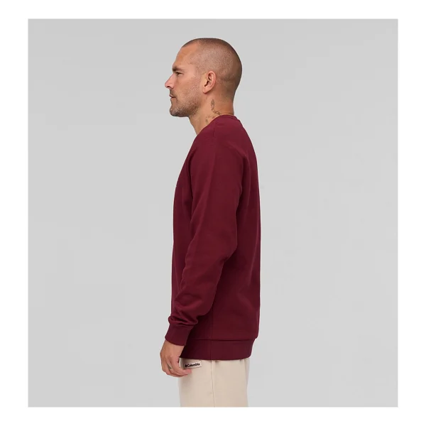 Columbia CSC Branded Blanket CS0442-624 Bordo Erkek Sweatshirt - Görsel 3