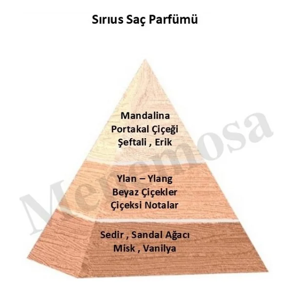 Sırıus Kadın Saç Parfümü Floral 150 ml Edt - MNMS150SRSSP - Görsel 2