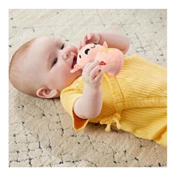 Fisher Price Duyuları Harekete Geçiren Oyun Seti HRB17 - Görsel 4