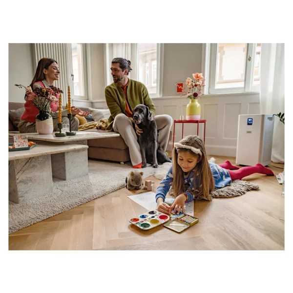 Karcher AF 50 Hava Temizleyici - Görsel 6
