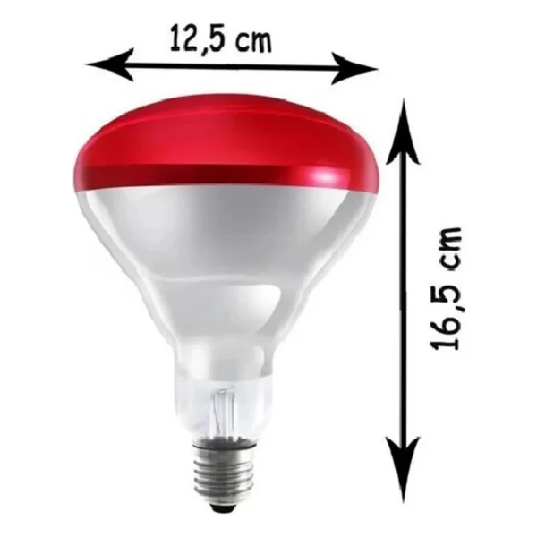 250w Kızılötesi (infrared) Isıtıcılı Fizik Tedavi Lambası (kırmızı Işık) E27 (kalın Duy) - Görsel 7