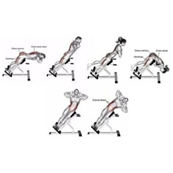Proforce EMH12 Ters Mekik Sehpası - Görsel 8