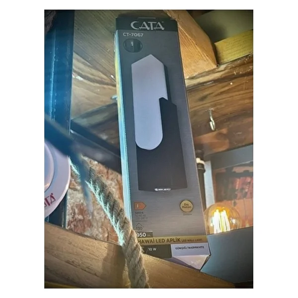 Cata CT-7067 Hawai 10 W LED Bahçe Apliği - Görsel 3