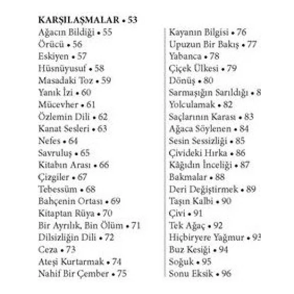 Seslerden Uzakta - Susanları Anlamak İçin Sözlük - Mustafa Kurt - Görsel 4