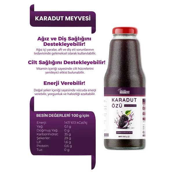 Havran Kocaseyit 3 Adet Karadut Özü 1350 g + 350 g Yaban Mersini Özü Doğal Lezzet - 1,35 kg - Görsel 2