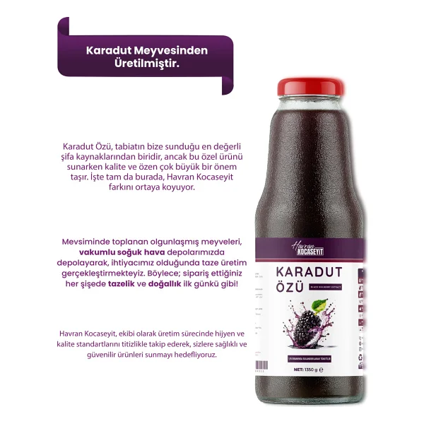 Havran Kocaseyit 3 Adet Karadut Özü 1350 g + 350 g Yaban Mersini Özü Doğal Lezzet - 1,35 kg - Görsel 3
