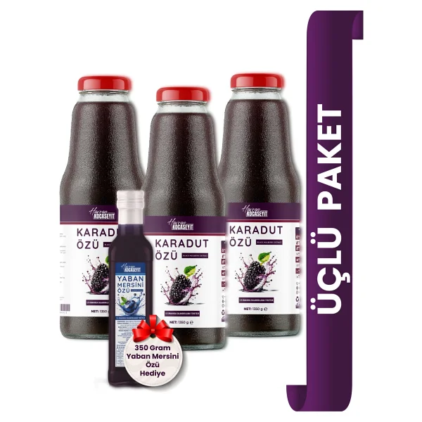 Havran Kocaseyit 3 Adet Karadut Özü 1350 g + 350 g Yaban Mersini Özü Doğal Lezzet - 1,35 kg - Görsel 7