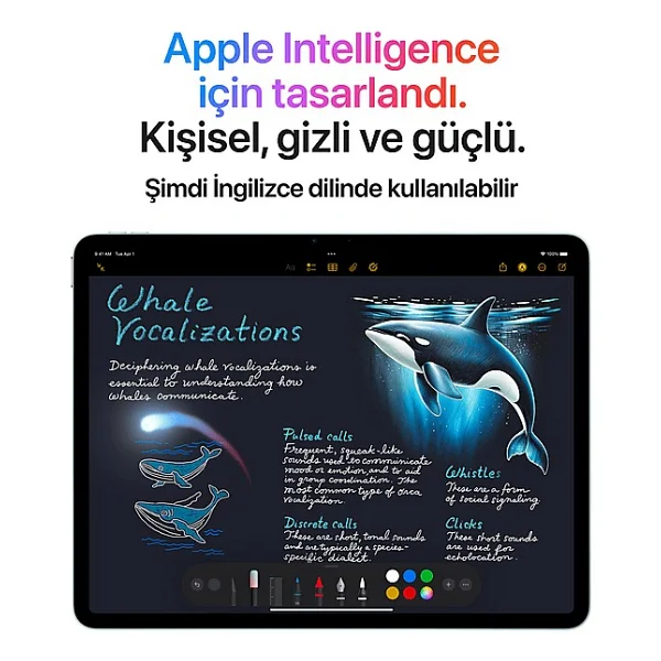 iPad Air M3 Wi-Fi + Cellular 1 TB 11" MCG94TU/A Mavi Tablet - Görsel 6