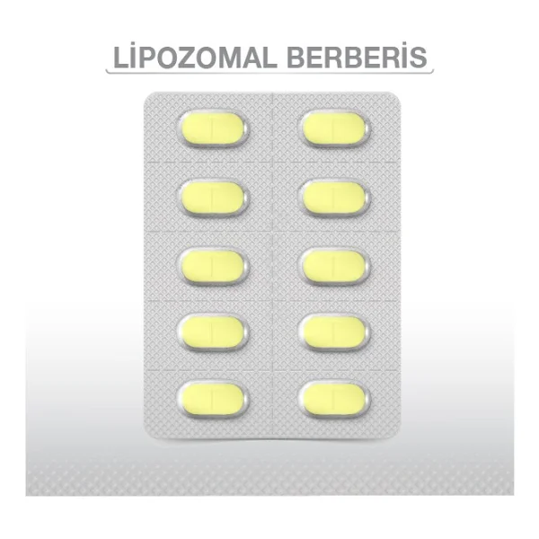 Goodday Lipozomal Berberis 30 Tablet - Görsel 7