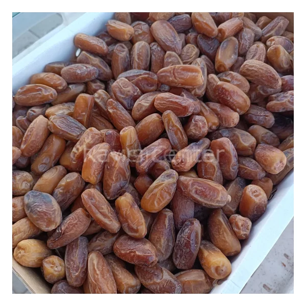 Toptan Lüks Tunus Hurma (Deglet Nour) 10 kg - Görsel 3