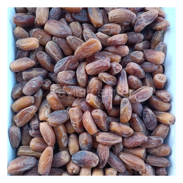 Toptan Lüks Tunus Hurma (Deglet Nour) 10 kg - Görsel 4