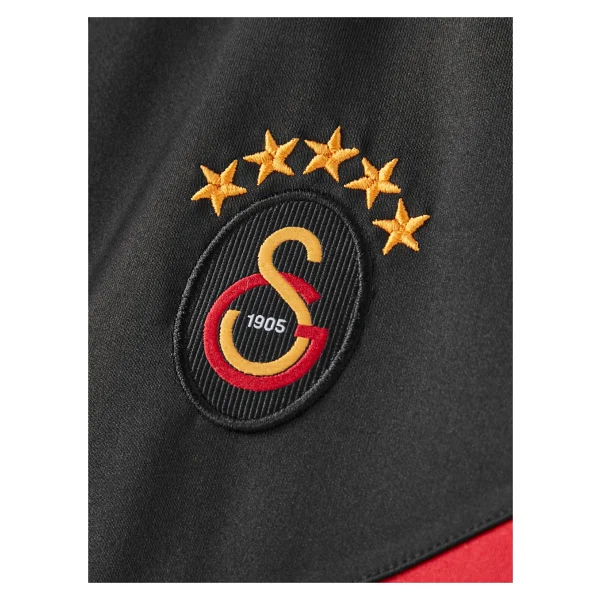 Galatasaray Erkek Eşofman Takım E252126 - Görsel 6