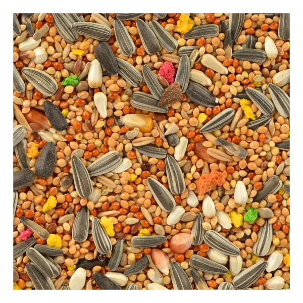 Gold Wings Classic 500 gr Paraket Yemi - Görsel 2