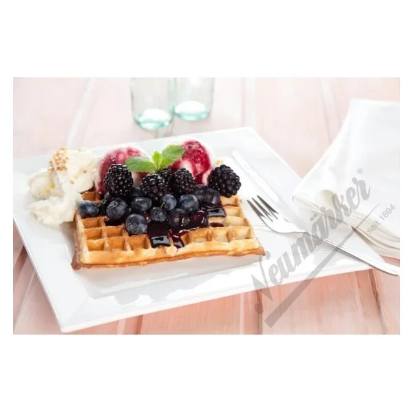 Glanz Neumarker Kant Waffle Plakası - Görsel 3