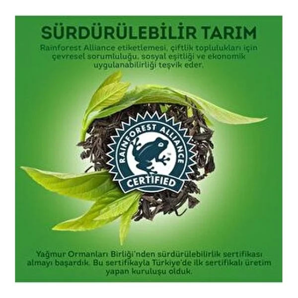 Lipton Mango - Ananas Yeşil Çay 20'li - Görsel 8
