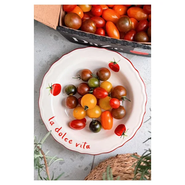 Rakle X Bengi Kurtcebe Pomodoro 23 cm 4'lü Yemek Tabağı - Görsel 7