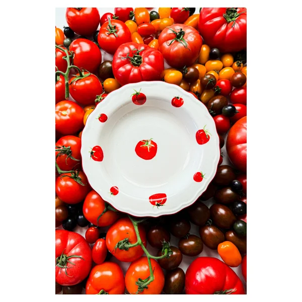 Rakle X Bengi Kurtcebe Pomodoro 23 cm 4'lü Yemek Tabağı - Görsel 5