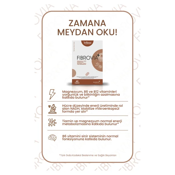 Infless Fibrovia+ Nadh ve Koenzim Q10, Magnezyum Malat Içeren Formül - 60 Kapsül - Görsel 3