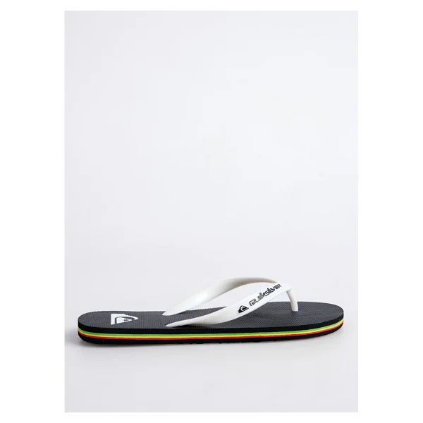 Quiksilver Molokai Core AQYL101325 Erkek Parmak Arası Terlik - Görsel 10