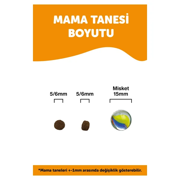 Croque Tavuklu 600 gr Yavru Kedi Maması - Görsel 3