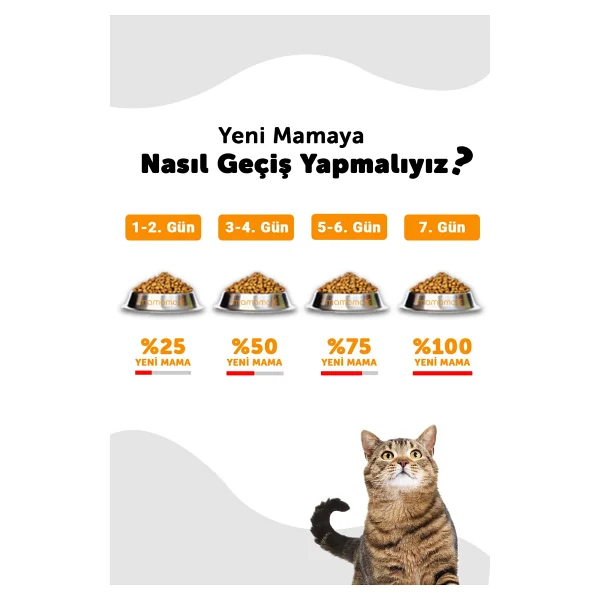 Croque Tavuklu 600 gr Yavru Kedi Maması - Görsel 4