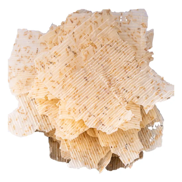 Haşiroğlu Çerezlik Tarhana 3 kg - Görsel 2