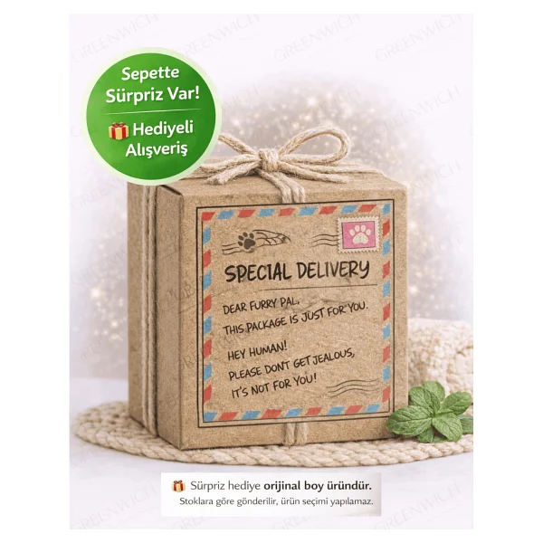 Greenwich 4 lt Kameralı Otomatik Mama Kabı - Görsel 2