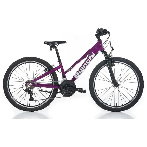 Bianchi XR24.3 V 21 Vites 24 Jant Kadın Dağ Bisikleti - Görsel 5