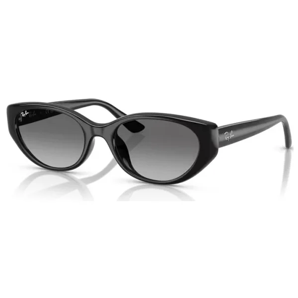 Ray-Ban 4457D 667711 Black-Grey Güneş Gözlüğü - Görsel 6