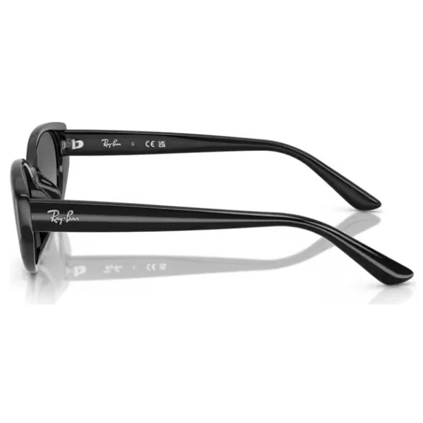 Ray-Ban 4457D 667711 Black-Grey Güneş Gözlüğü - Görsel 7