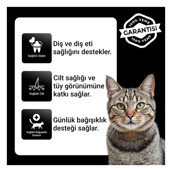 Luis Tavuklu 15 kg Yetişkin Kuru Kedi Maması - Görsel 3