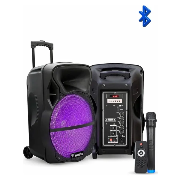 Westa WAP-1053E 10 inç 1 El Mikrofonlu Aktif Hoparlör - Görsel 3