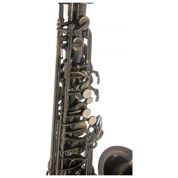 Roy Benson AS-202A Alto Saksafon (Antik) Eskitilmiş Bronz Vintage Tarz - Görsel 4