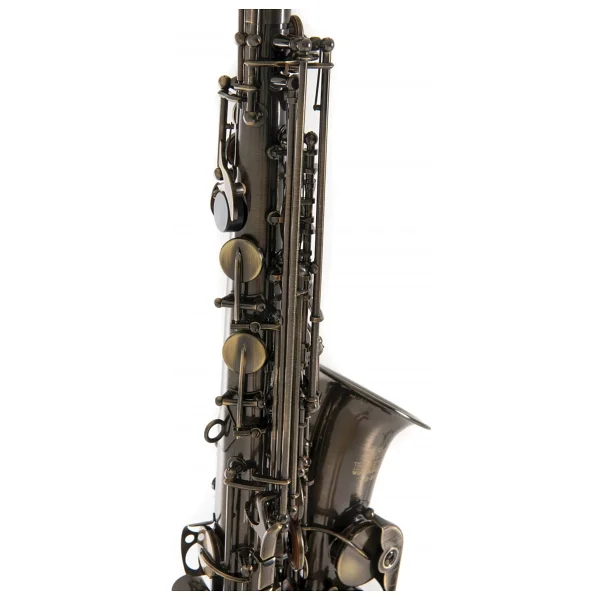 Roy Benson AS-202A Alto Saksafon (Antik) Eskitilmiş Bronz Vintage Tarz - Görsel 5