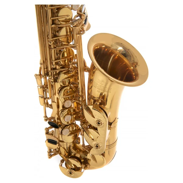 Roy Benson AS-202 Alto Saksafon (Başlangıç/eğitim - Eb Alto) Pirinç Gövde ve Mekanizma, Altın Lak Kaplama, Yüksek Kaliteli Pabuçlar (Pads) Ölçüler: Eb (Mi Bemol) Standart Boy - Görsel 2