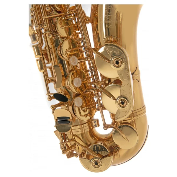 Roy Benson AS-202 Alto Saksafon (Başlangıç/eğitim - Eb Alto) Pirinç Gövde ve Mekanizma, Altın Lak Kaplama, Yüksek Kaliteli Pabuçlar (Pads) Ölçüler: Eb (Mi Bemol) Standart Boy - Görsel 3