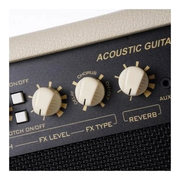 Cort Endonezya Cort AF60 Akustik Gitar ve Enstrüman Amfisi (Orta/profesyonel Seviye) 60 Watt Güç, Çift Kanal Girişi, Dahili Reverb/chorus Efektleri ve Çelik Izgara - Görsel 3