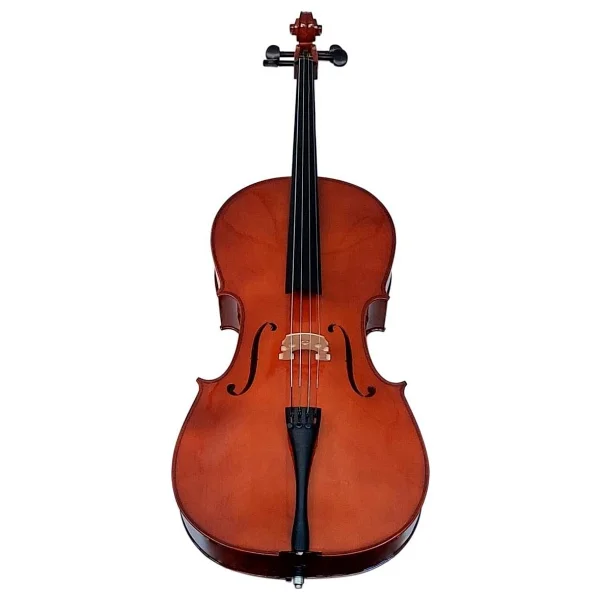 Kinglos Kng Pjb-Cello 4/4 Profesyonel Çello Abanoz Klavye,masif Gövde,dolgun ve Zengin Ses Iletimi - Görsel 2