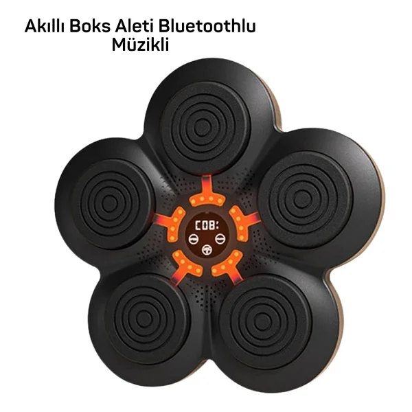 Epilons Müzik Box Makinesi - Görsel 6
