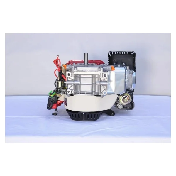 GoldMoto GM200E 6.5 Hp Marşlı Krank Mili Kamalı Benzinli Motor - Görsel 3
