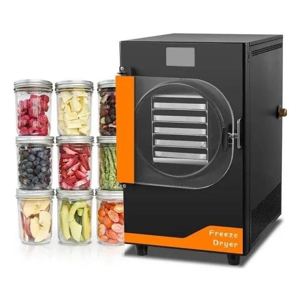 Dalle DFD-10 Freeze Dryer Meyve Kurutma Makinesi - Görsel 2