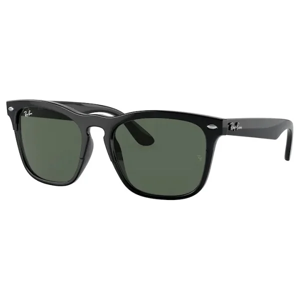 Ray-Ban Steve 4487 Güneş Gözlüğü - Görsel 5