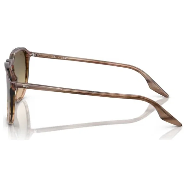 Ray-Ban 2203 Güneş Gözlüğü - Görsel 6