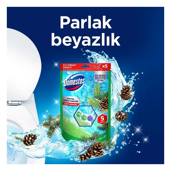 Domestos Tuvalet Bloğu Çam Ormanı 5'li Güç 250 G - Görsel 2