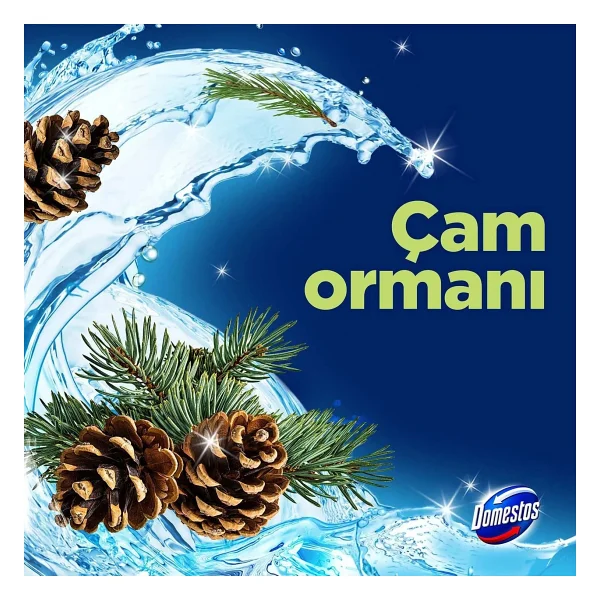 Domestos Tuvalet Bloğu Çam Ormanı 5'li Güç 250 G - Görsel 3