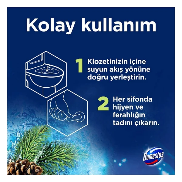 Domestos Tuvalet Bloğu Çam Ormanı 5'li Güç 250 G - Görsel 6