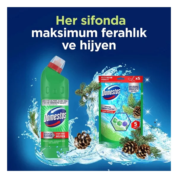 Domestos Tuvalet Bloğu Çam Ormanı 5'li Güç 250 G - Görsel 7