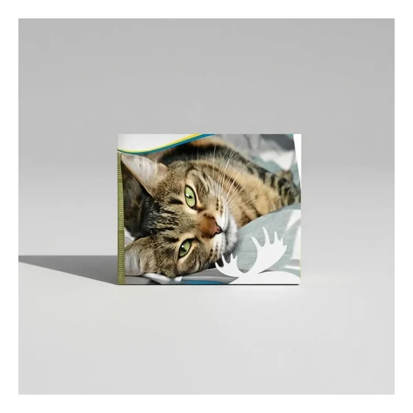 Bozita Feline Indoor Sterilised Tavuklu 10 kg Kısırlaştırılmış Yetişkin Kuru Kedi Maması - Görsel 3