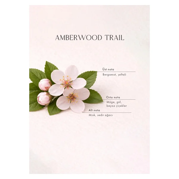 Bella Maison Amberwood Trail Soya Wax Kokulu Mum Sarı (120 gr) - Görsel 4