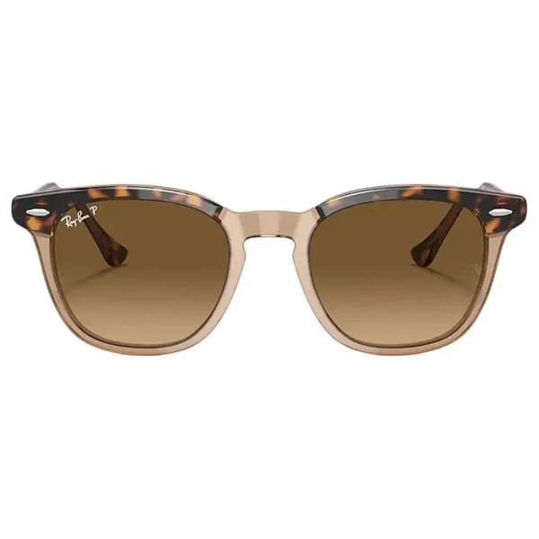 Ray-Ban Hawkeye 2298 1292M2 Havana/Transparent-Brown Polarize Güneş Gözlüğü - Görsel 2